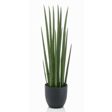 Sansevieria artificiel KICHIRO en pot décoratif, vert, 70cm