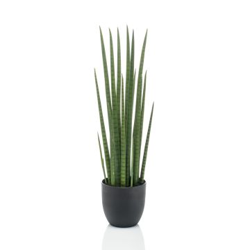 Sansevieria artificiel KICHIRO en pot décoratif, vert, 70cm Sansevieria artificiel KICHIRO en pot décoratif, vert, 70cm