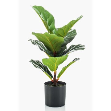 Ficus Lyrata artificiel EMILIANA, vert, 55cm