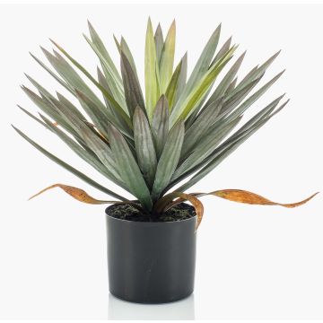 Yucca artificiel KOUKI, 50cm