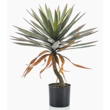 Yucca artificiel KOUKI, 75cm