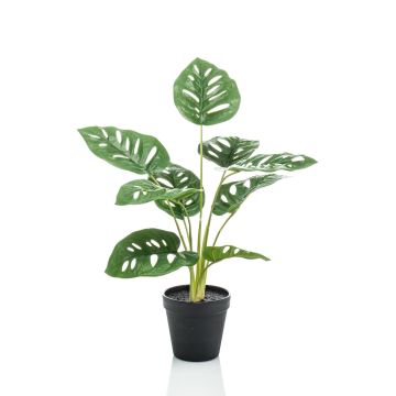 Philodendron décoratif Monstera Deliciosa VIRGA, 45cm Philodendron décoratif Monstera Deliciosa VIRGA, 45cm