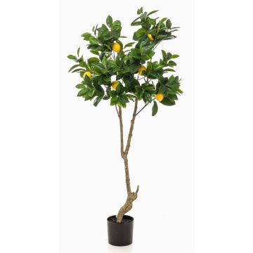 Citronnier artificiel MAKOTO, tronc artificiel, avec fruits, 150cm