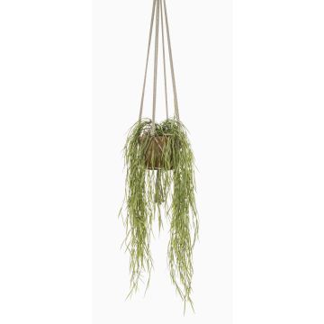 Suspension artificielle d'Hoya linearis MIKI, pot en terre cuite, vert, 85cm Suspension artificielle d'Hoya linearis MIKI, pot en terre cuite, vert, 85cm