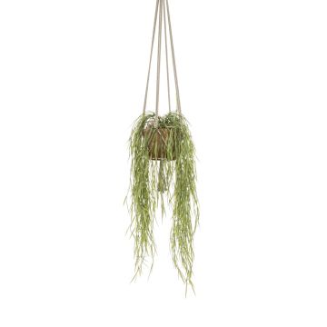 Suspension artificielle d'Hoya linearis MIKI, pot en terre cuite, vert, 85cm