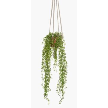 Suspension figuier rampant artificiel AMADOR, pot en terre cuite, vert, 100cm Suspension figuier rampant artificiel AMADOR, pot en terre cuite, vert, 100cm