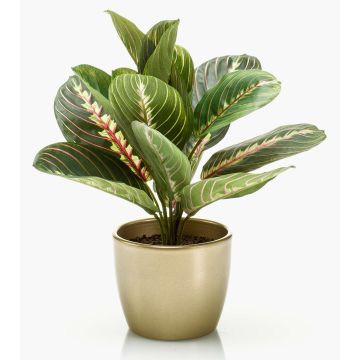 Plante artificielle Maranta SITULA, pot en céramique doré, vert-rouge, 30cm Plante artificielle Maranta SITULA, pot en céramique doré, vert-rouge, 30cm