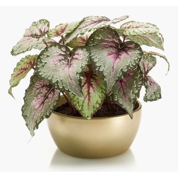 Bégonia artificiel KATRICE, coupe en céramique dorée, violet-vert, 25cm