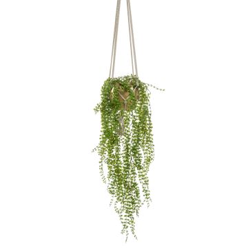 Suspension figuier rampant artificiel AMADOR, pot en céramique doré, vert, 100cm
