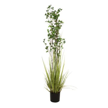 Herbe artificielle euonymus japonicus BASKO, 180cm Herbe artificielle euonymus japonicus BASKO, 180cm
