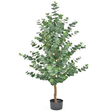 Arbre en eucalyptus artificiel WEONFYN, tronc artificiel, vert, 180 cm Arbre en eucalyptus artificiel WEONFYN, tronc artificiel, vert, 180 cm