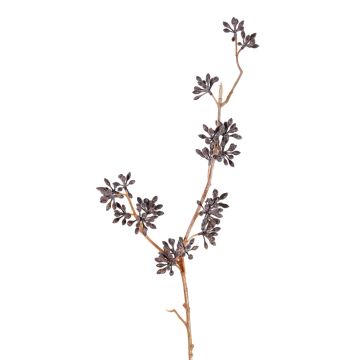 Branche d'eucalyptus en plastique SOHA avec fruits, brun foncé, 60cm Branche d'eucalyptus en plastique SOHA avec fruits, brun foncé, 60cm