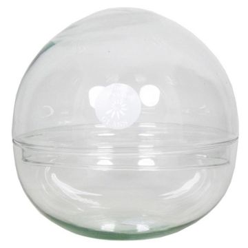 Terrarium pour plantes succulentes en verre BRYSON, boule, transparent, 19,5cm, Ø19,5cm