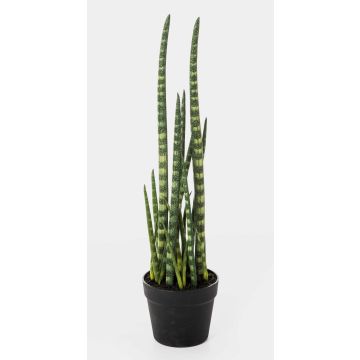Sansevieria Cylindrica artificiel AIDANA, vert-jaune, 65cm Sansevieria Cylindrica artificiel AIDANA, vert-jaune, 65cm