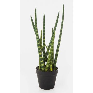 Sansevieria Cylindrica artificiel AIDANA, vert-jaune, 40cm Sansevieria Cylindrica artificiel AIDANA, vert-jaune, 40cm