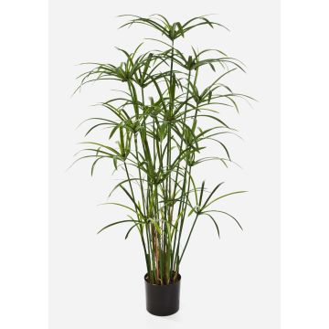 Plante artificielle Papyrus ALBY, vert, 125cm