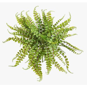 Pellaea rotundifolia artificiel IMAI sur piquet, vert, 40cm, Ø50cm