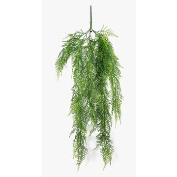 Chute d'asparagus plumosus artificielle ALRISCHA, 75cm Chute d'asparagus plumosus artificielle ALRISCHA, 75cm