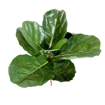 Ficus lyrata artificiel ATIKA sur piquet, vert, 60cm Ficus lyrata artificiel ATIKA sur piquet, vert, 60cm
