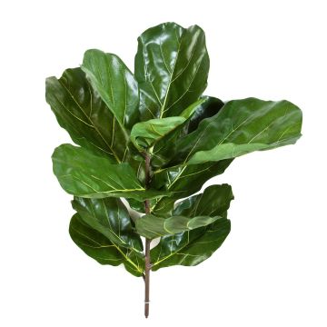 Ficus lyrata artificiel ATIKA sur piquet, vert, 75cm Ficus lyrata artificiel ATIKA sur piquet, vert, 75cm