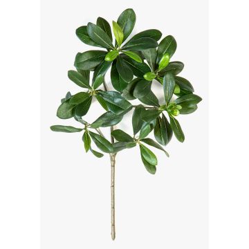 Branche de pittosporum artificielle MASON, diff. inflammable, 40cm