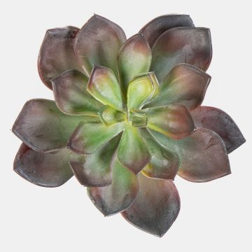 Echeveria pelusida en plastique CURSA sur piquet, rouge-vert, 15cm Echeveria pelusida en plastique CURSA sur piquet, rouge-vert, 15cm