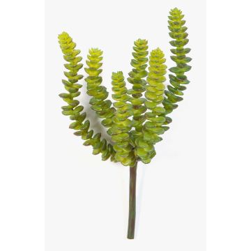 Crassula perforata artificiel FULU sur piquet, vert, 15cm Crassula perforata artificiel FULU sur piquet, vert, 15cm