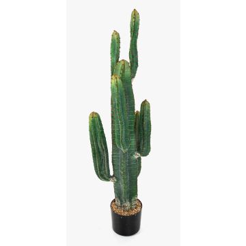 Cactus colonne artificiel ELKURUD, vert-rouge, 115cm