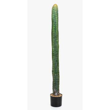 Cactus colonne artificiel ELKURUD, vert-rouge, 140cm