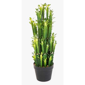 Euphorbia trigona artificiel KAROLIINA, vert, 65cm