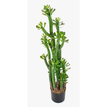 Euphorbia royleana artificiel GACRUX, vert, 120cm