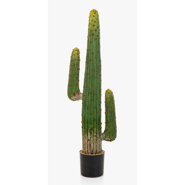 Cactus colonne artificiel GOMEISA, vert-rouge, 125cm