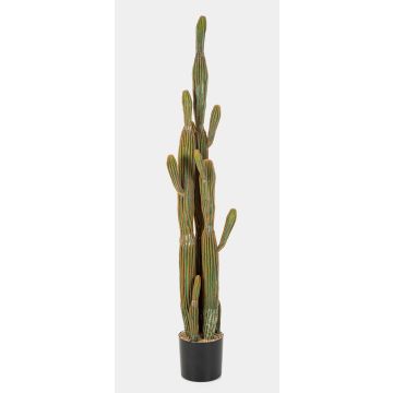 Cactus San Pedro artificiel GRUMIUM, vert-brun, 150cm