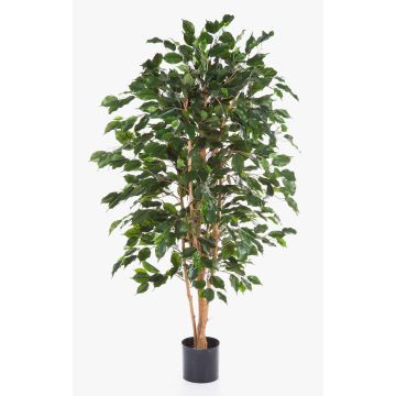 Ficus benjamina THIAGO artificiel, troncs naturels, ignifugé, vert, 120cm Ficus benjamina THIAGO artificiel, troncs naturels, ignifugé, vert, 120cm