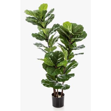 Ficus lyrata artificiel GUDJA, troncs artificiels, vert, 130cm Ficus lyrata artificiel GUDJA, troncs artificiels, vert, 130cm