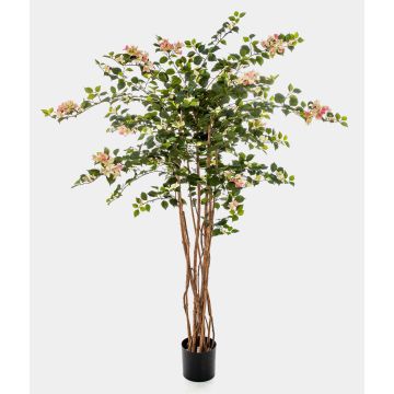 Bougainvillier artificiel OGMA, troncs naturels, fleurs, jaune-rose, 150cm
