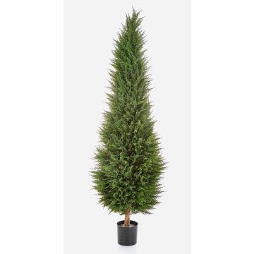 Cyprès artificiel MEKBUDA, vert, 180cm