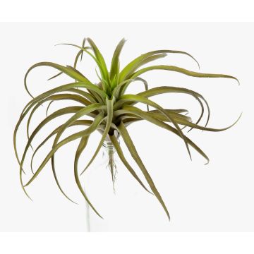 Tillandsia stricta artificiel PROPUS sur piquet, vert-brun, 25cm