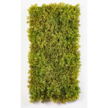 Tapis de mousse d'Islande artificiel MUSCIDA, vert-brun, diff. inflammable, 25x50cm Tapis de mousse d'Islande artificiel MUSCIDA, vert-brun, diff. inflammable, 25x50cm