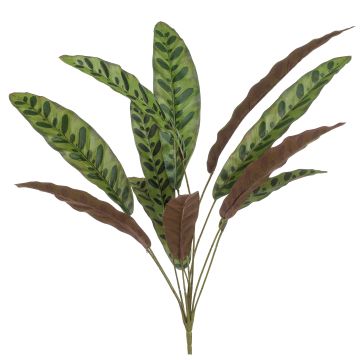 Fausse plante Calathea Makoyana WIDO sur piquet, vert-bordeaux, 70cm