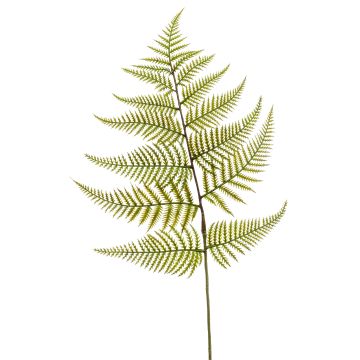 Fausse feuille de fougère épée MBALI, vert, 80cm