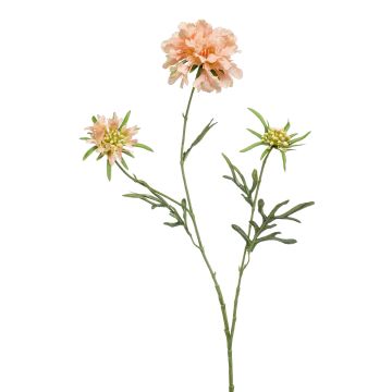 Fleur artificielle Scabiosa MARUA, pêche, 80cm