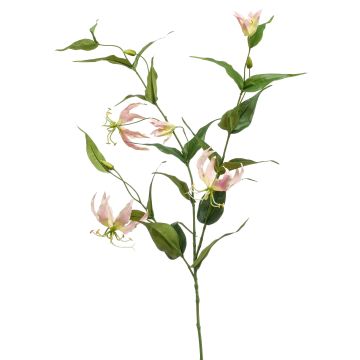 Gloriosa artificiel WARIS rose-crème, 120cm