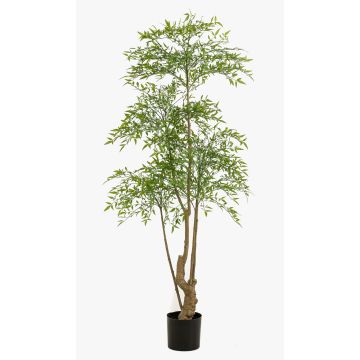 Arbre Ruscus artificiel KHALED, tige artificielle, vert, 180cm