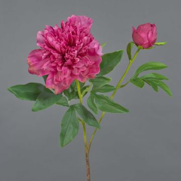 Pivoine décorative BADIS, fuchsia, 75cm Pivoine décorative BADIS, fuchsia, 75cm