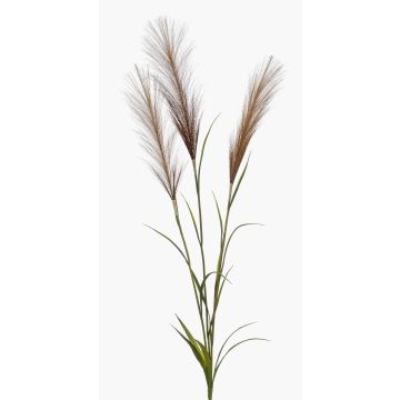 Branche décorative herbe de la pampa ADNANE avec panicules, marron, 90cm
