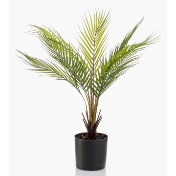 Palmier de montagne décoratif AIKU, 50cm