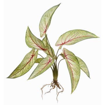 Plante artificielle Calathea Ornata ASAGI, piquet, racines, vert-rouge, 40cm
