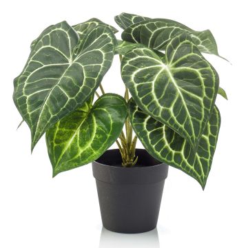 Anthurium artificiel TESHI, vert crème, 25cm