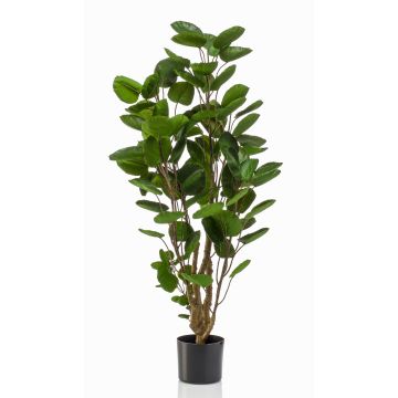 Plante artificielle Polyscias FAUZIA, tronc artificiel, 105cm